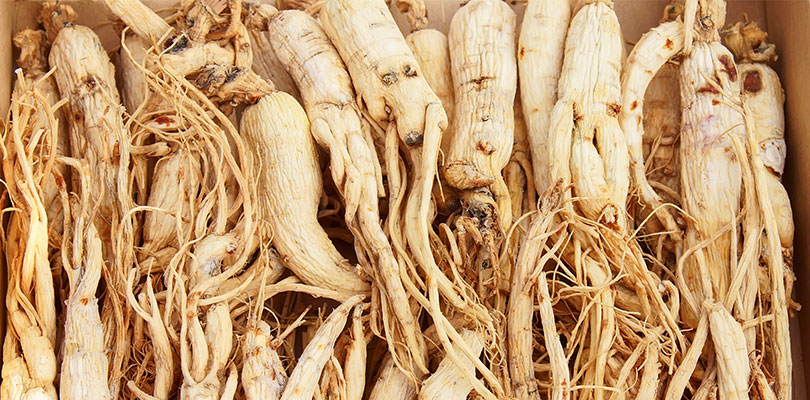 Ginseng